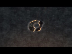 Automatische Halal pluimvee slachtmachine voor perfecte kippenplukken prestaties