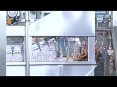 220V kippenslachtmachine met gemakkelijke bediening