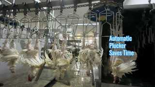 automatische plukmachine