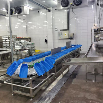 Plastic tray kip eend pluimvee gordel gewicht sorteermachine voor slachthuis