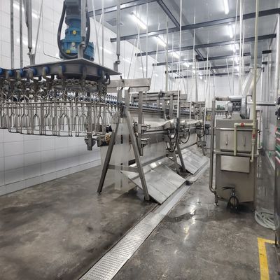 Lijn voor de slacht van roestvrij staal 500 bph 10000 bph