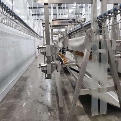 Automatische slachtmachine voor pluimvee 500-1000 BPH