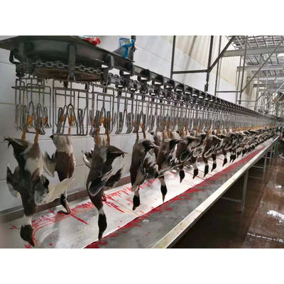 Productielijn voor het slachten van kippen van roestvrij staal voor verschillende productiecapaciteiten