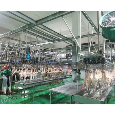 Automatische kippenvleesverwerkende fabriek plukmachine