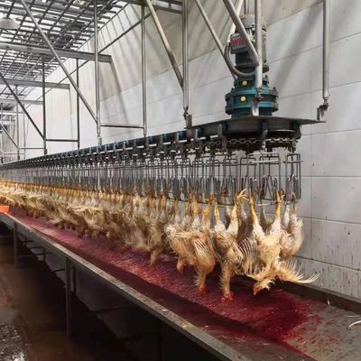 Automatische pluimveeverwarmingsmachine van roestvrij staal 304