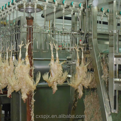 380V/220V Spanningsmachine voor pluimveeverwerking voor kippenplukken en halal slachten