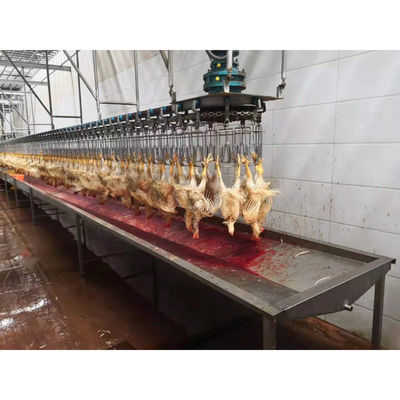 Op maat gemaakte kip eend kalkoen gans slachtmachine 2000BPH voor pluimvee