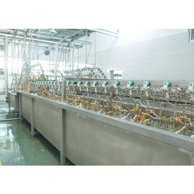 3000BPH Eendenslachtmachine 380V / 220V Vleesverwerkingsapparatuur