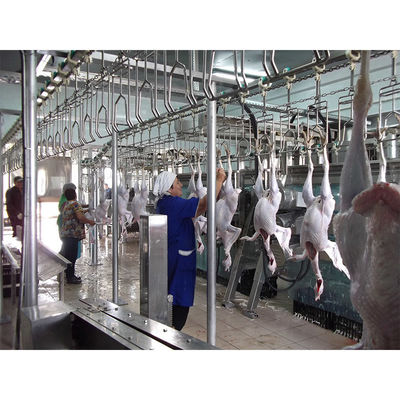 304 roestvrij staal kippen slachtmachine met 380V spanning en eenvoudig onderhoud