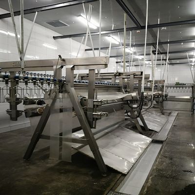 Op maat gemaakt systemen voor het slachten van vee met een hoge capaciteit van 500 tot 1000 vogels per uur