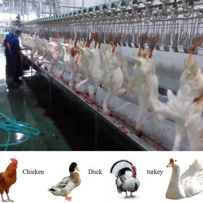 Halal Complete Volledige Functie Vlees Kip Slachtmachine Lijn