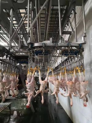 Duurzame kippen slachtlijn Automatische slachtmachine TUV goedgekeurd