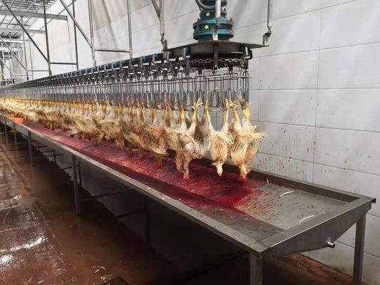 1000 kippen per uur Bph Complete mini pluimvee verwerkingslijn Slachterij