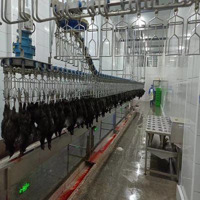 Automatische Halal pluimvee slachtmachine 500 bph kip plukmachine