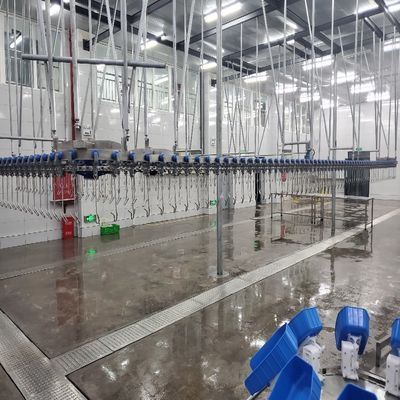 Slachtopparatuur voor het slachten van pluimvee van roestvrij staal Slachtoffercapaciteit 500-1000 vogels per uur
