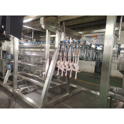 200BPH 300BPH 500BPH Automatisch doden snijden Gans eend Kip Slachthuis Slachtmachinesysteem
