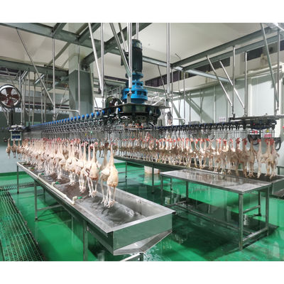 Automatische Halal-machine voor het slachten van pluimvee en kippen voor de verwerking van kip