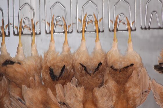 Hoge efficiëntie Halal kippen slachtmachine sleutelinje voor pluimveeverwerking voor 1000 vogels per uur